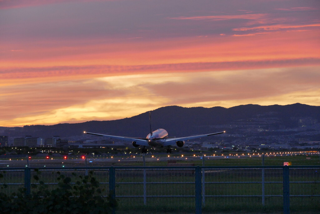 千里川の土手より空活しました