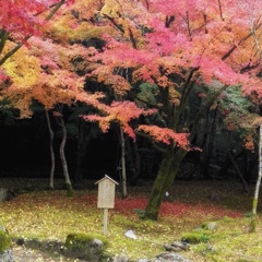 IMG_20161204_201434-01a