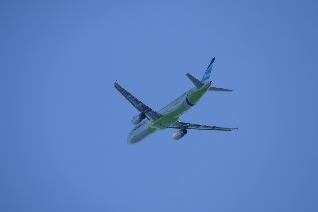 関空