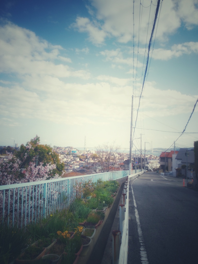 東朝霧丘からの明石海峡大橋