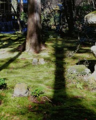 IMG_20181205_170604_763