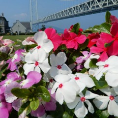 IMG_20180716_141311_772