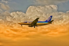 千里川土手の夕景