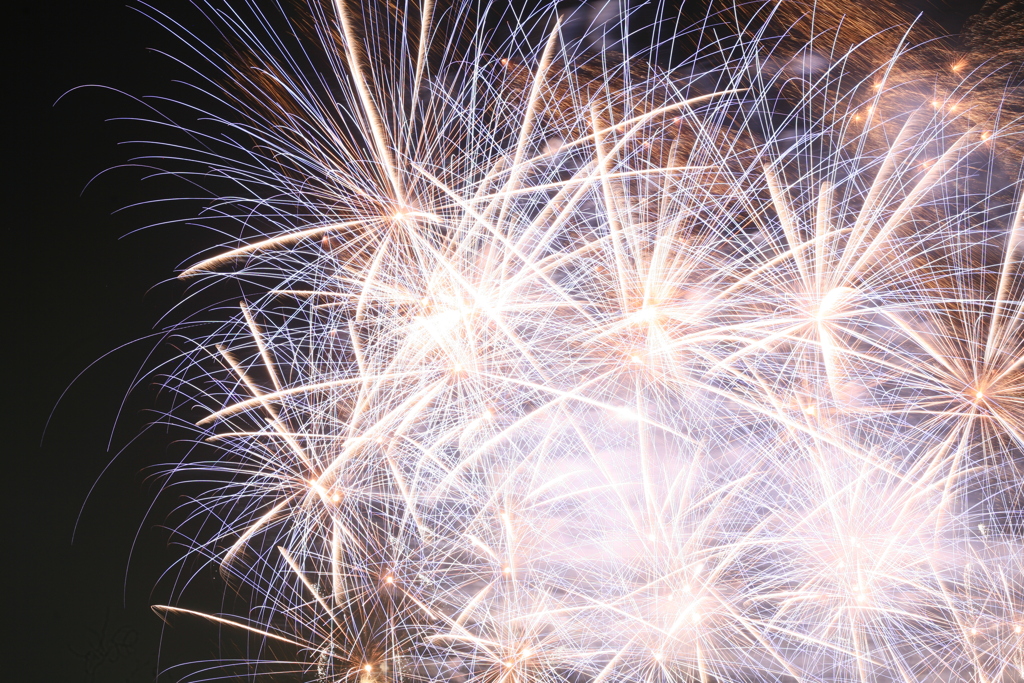 第31回 なにわ淀川花火大会 2019