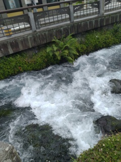 富士山本宮浅間大社