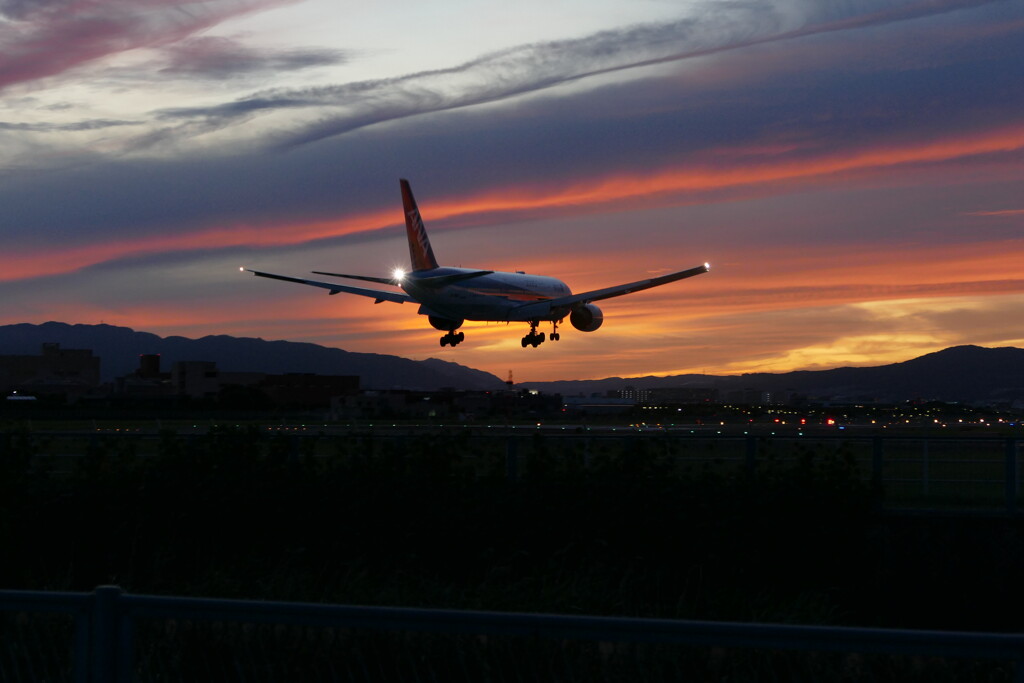 千里川の土手より空活しました