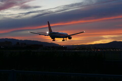 千里川の土手より空活しました