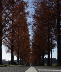 DSC04450a