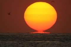 今日の舞子公園の夕景