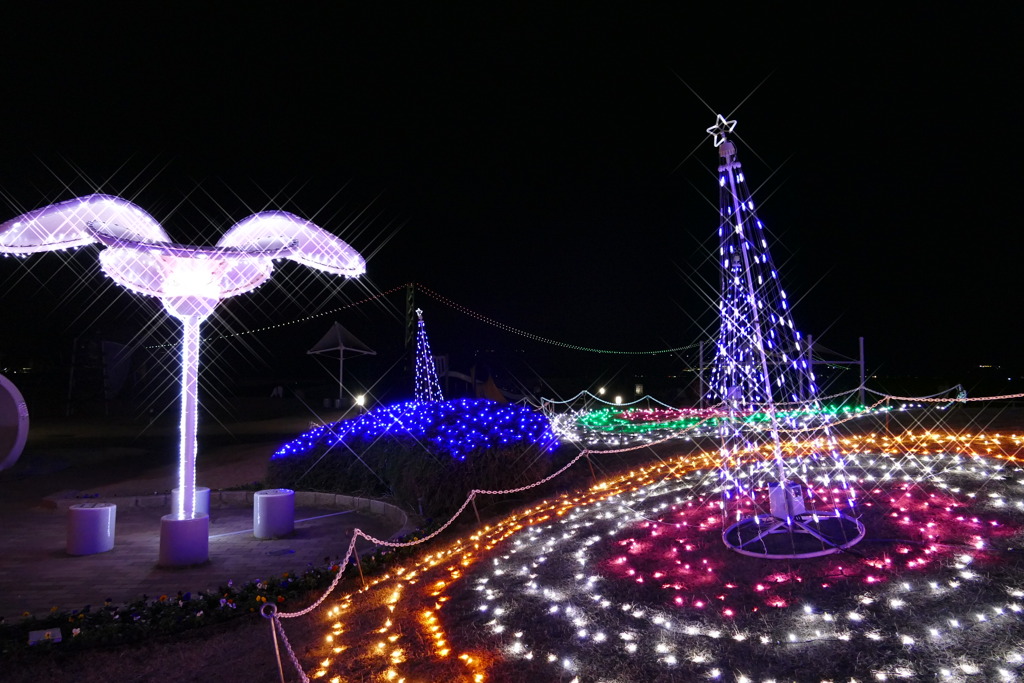 大蔵海岸ハートフルイルミネーション