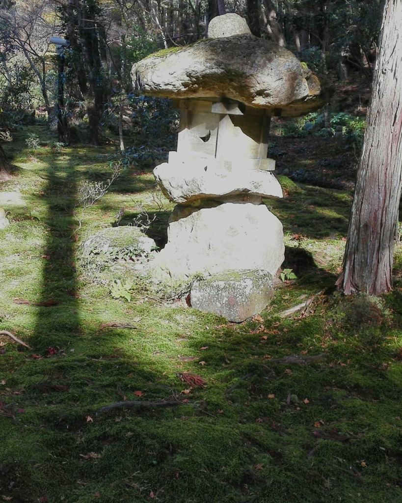 IMG_20181205_171731_927