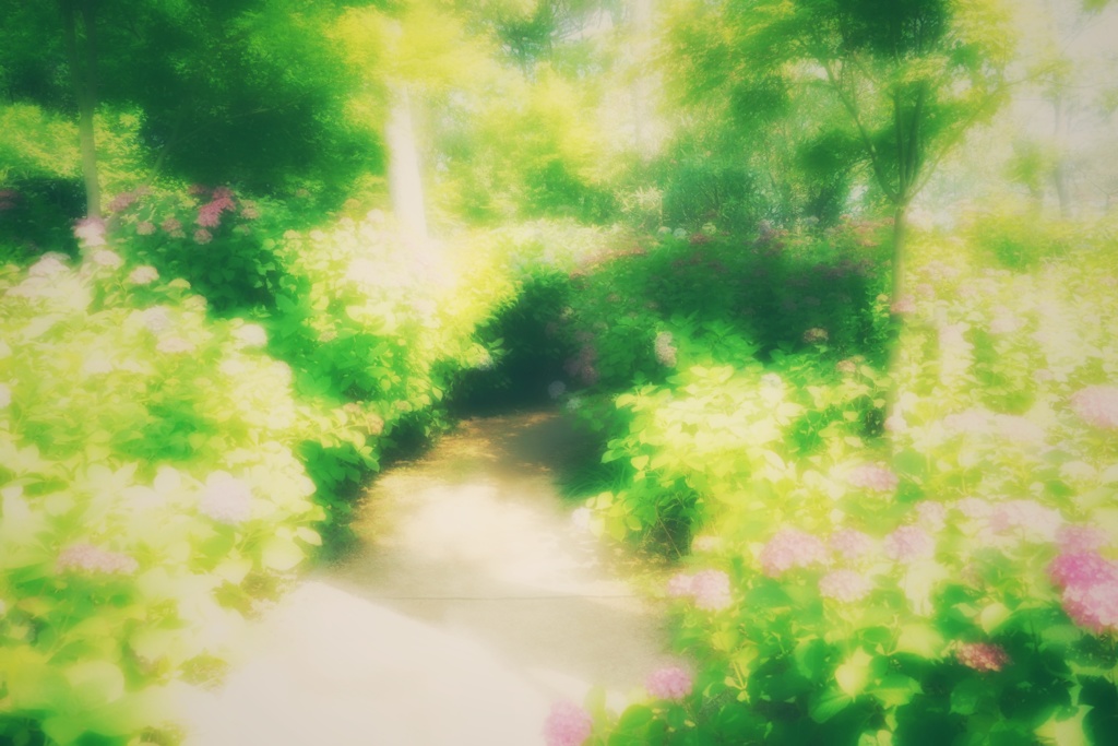 住吉神社の紫陽花