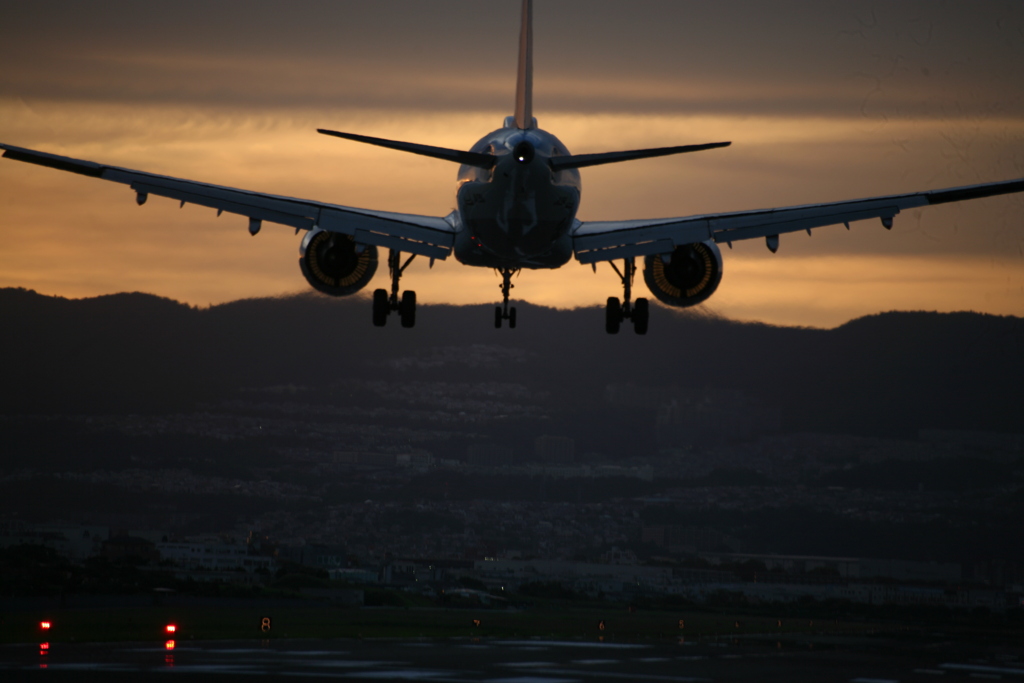 千里川の土手より空活しました