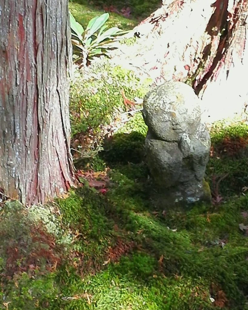 IMG_20181205_170604_764