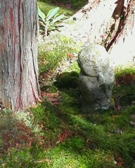 IMG_20181205_170604_764