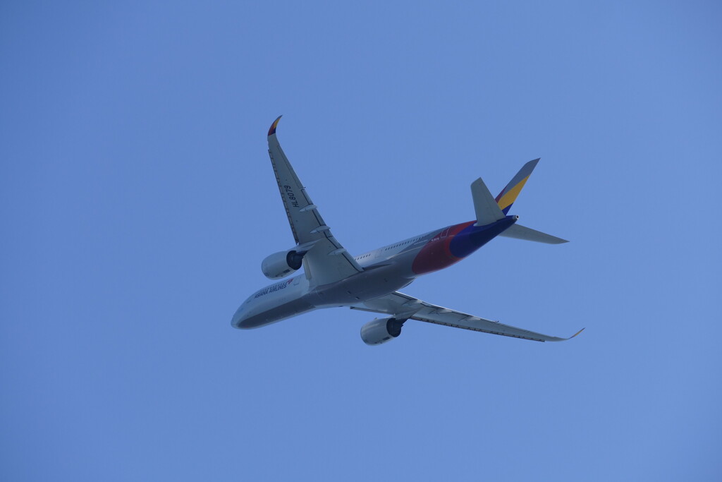 関空