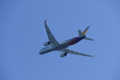 関空