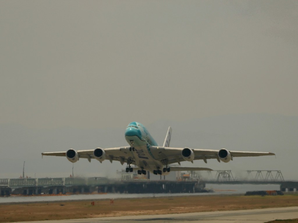 kix関空にて フライングホヌ カイ君 j382a