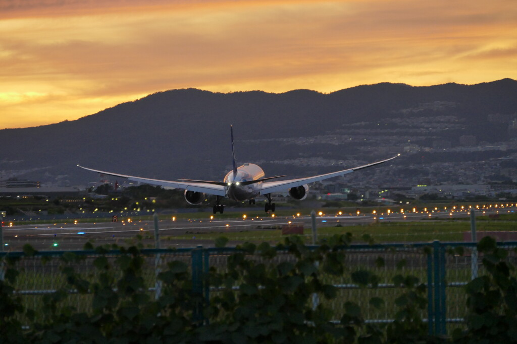 千里川の土手より空活しました