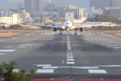 猪名川の土手