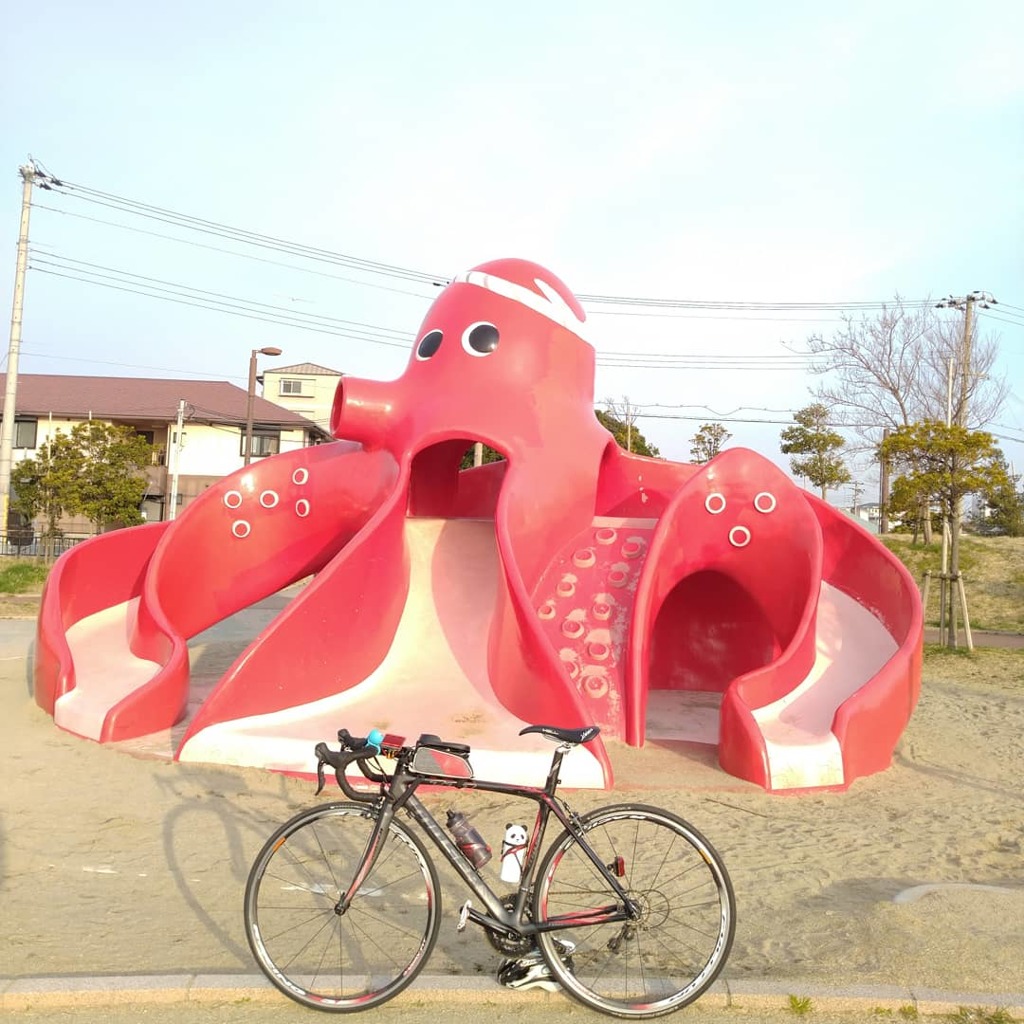 IMG_20190305_185001_771