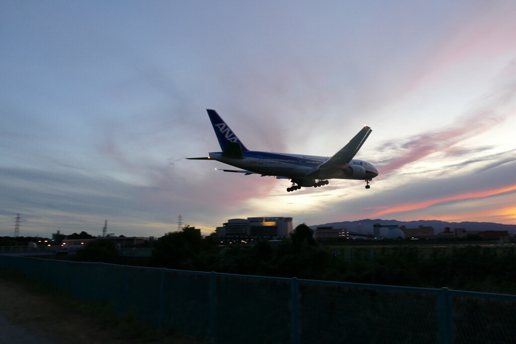 千里川の土手より空活しました