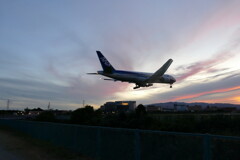 千里川の土手より空活しました