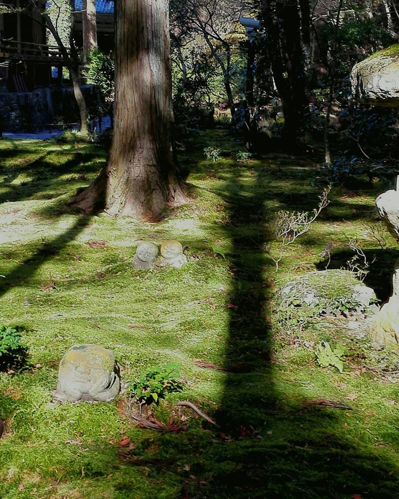 IMG_20181205_171731_922