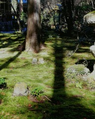 IMG_20181205_171731_922