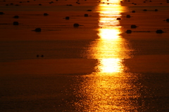 今日の林崎海岸の夕景