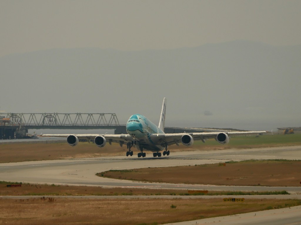 kix関空にて フライングホヌ カイ君 j382a