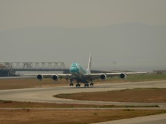 kix関空にて フライングホヌ カイ君 j382a