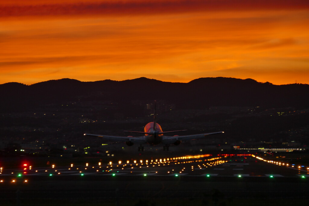 千里川の土手より空活しました