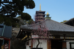 中山寺
