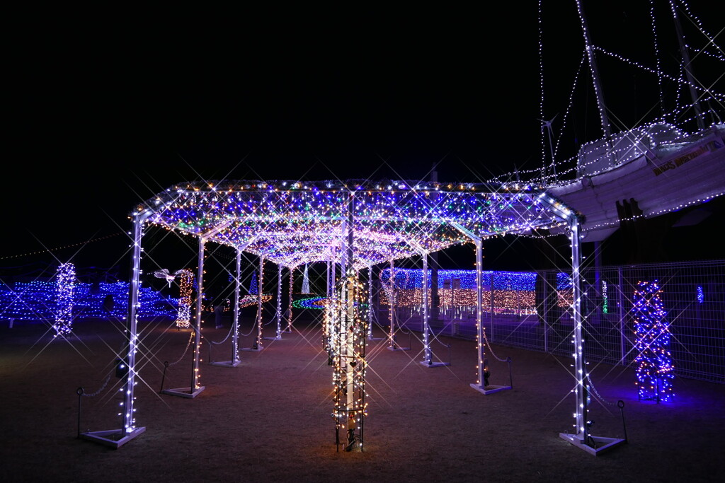 大蔵海岸ハートフルイルミネーション