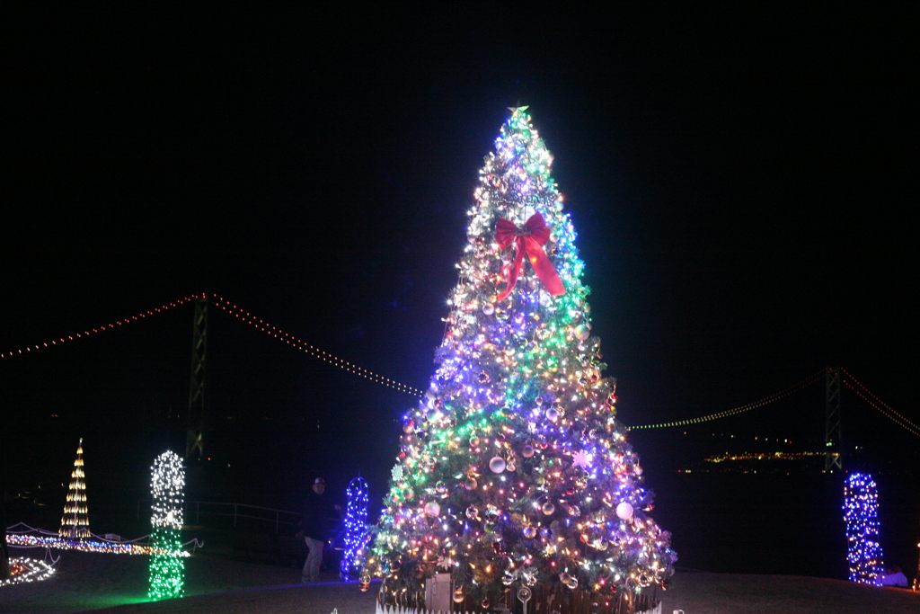 大蔵海岸ハートフルイルミネーション
