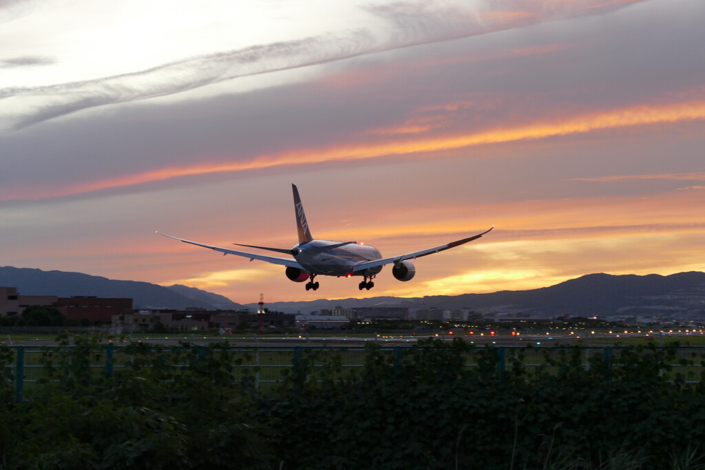 千里川の土手より空活しました