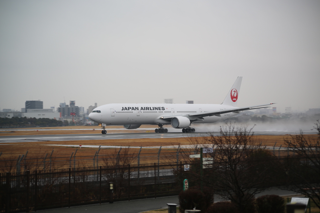 雨の伊丹空港