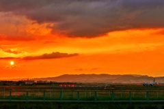 千里川土手の夕景