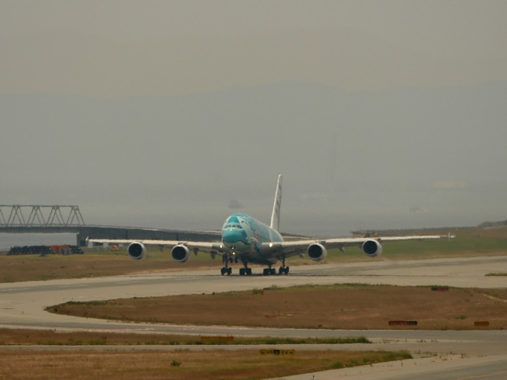 kix関空にて フライングホヌ カイ君 j382a