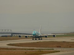 kix関空にて フライングホヌ カイ君 j382a