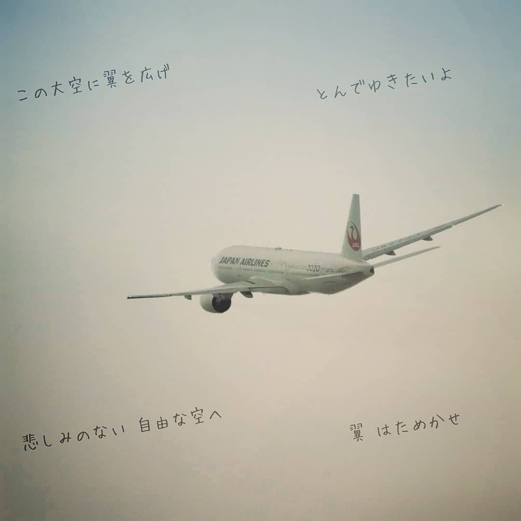 翼をください