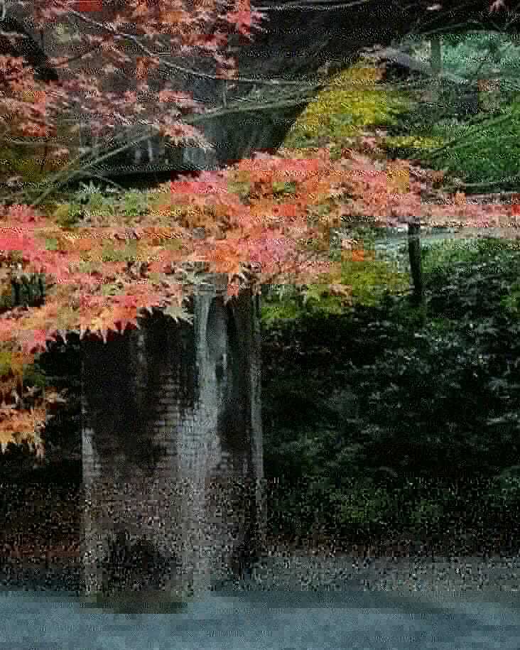 IMG_20181205_171731_904