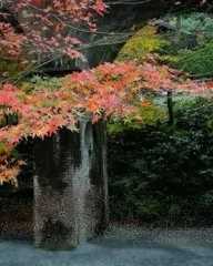 IMG_20181205_171731_904