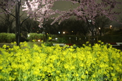 西郷川河口公園