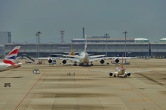 kix関空にて フライングホヌ カイ君 j382a