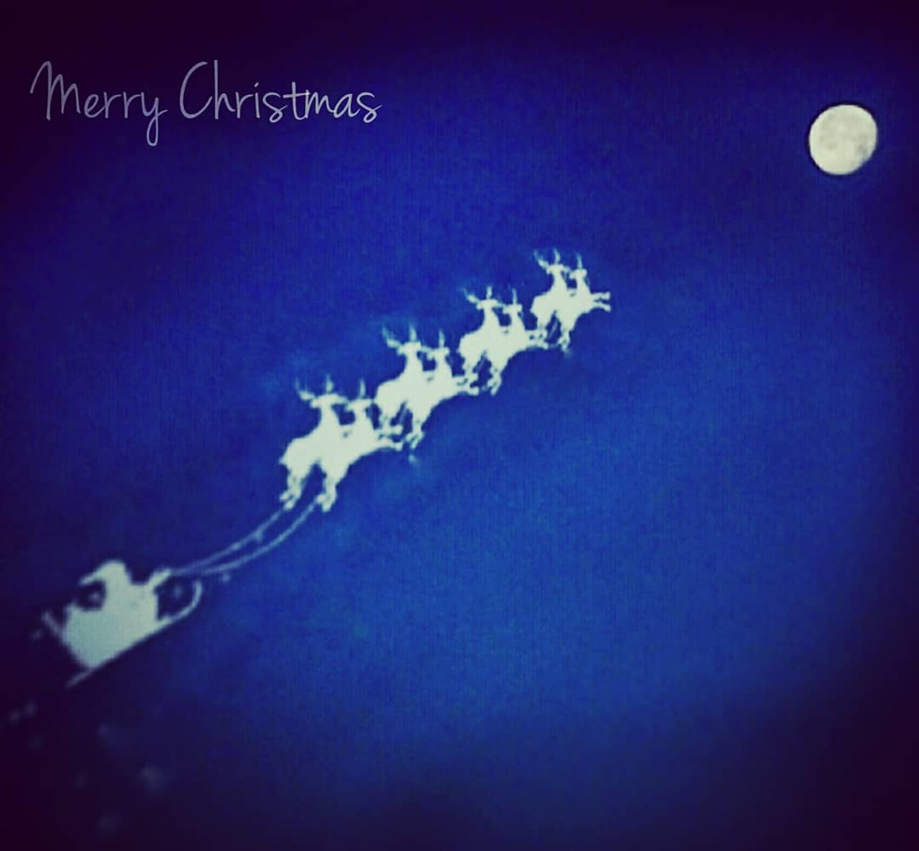 IMG_20181225_124118_624