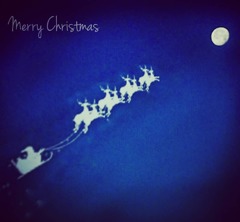 IMG_20181225_124118_624