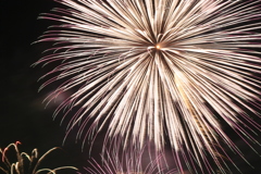 第31回 なにわ淀川花火大会 2019