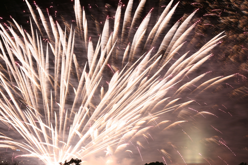 第31回 なにわ淀川花火大会 2019